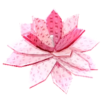 Cyclamen