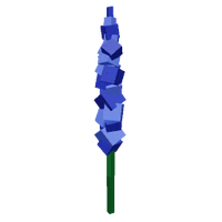Delphinium