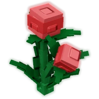 Fissure Berry