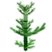 Horsetail