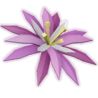 Paradise Petal