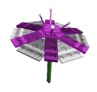 Parasol Flower