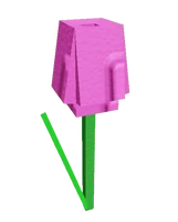 Pink Tulip