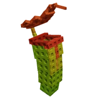 Pitcher Plant