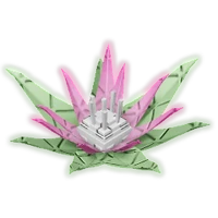 Protea