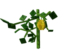 Starfruit