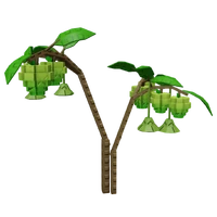 Sugar Apple