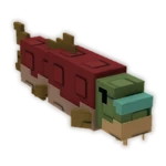 Salmon