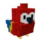 Scarlet Macaw