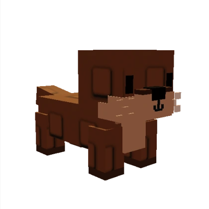 Sea Otter