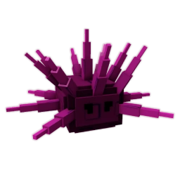 Sea Urchin