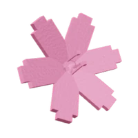 Cherry Blossom