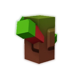 Clove