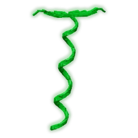 Coilvine