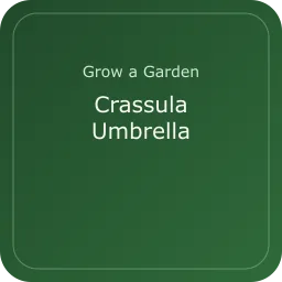 Crassula Umbrella
