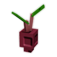 Evo Beetroot I