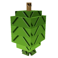 Feijoa
