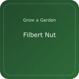 Filbert Nut