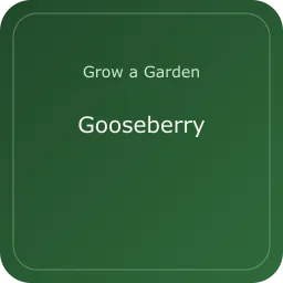Gooseberry