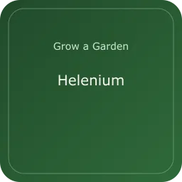 Helenium
