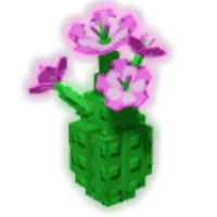 Melon Flower