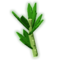 Parsley