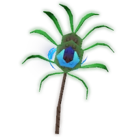 Peacock Tail