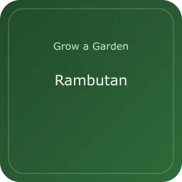 Rambutan