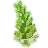Romanesco