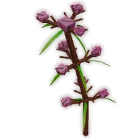 Speargrass