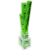 Spring Onion