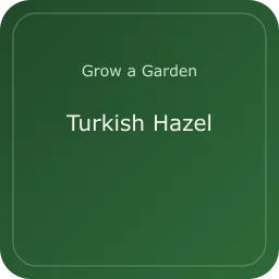 Turkish Hazel