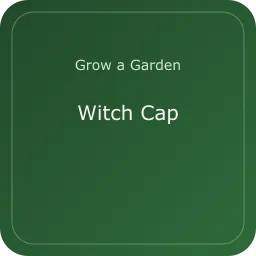 Witch Cap