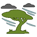 Safari Typhoon