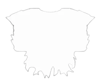 Raven's Chestplate