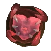 Heart of The Island
