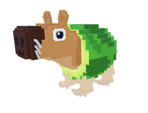 Pipi Avocado