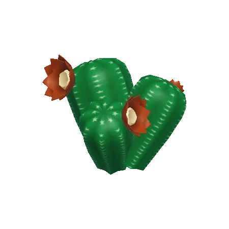 Blossom Cactus