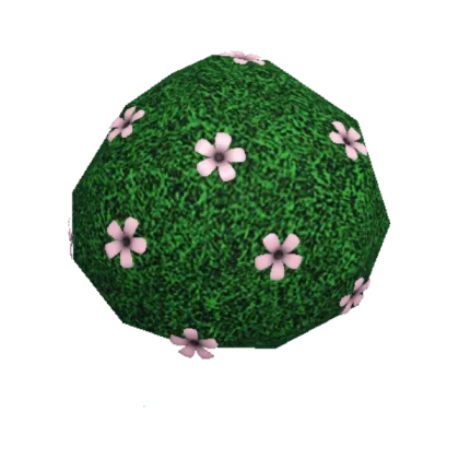 Blossoming Bush