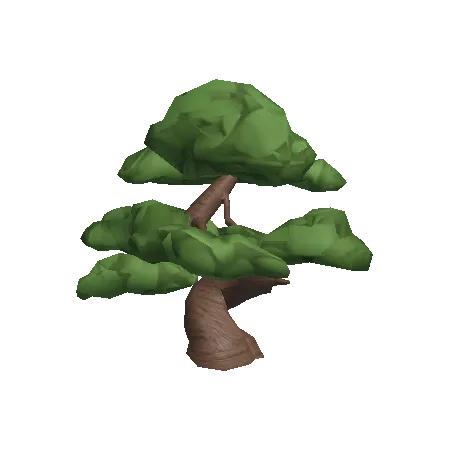 Bonsai Tree