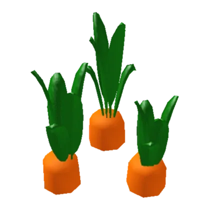 Carrots