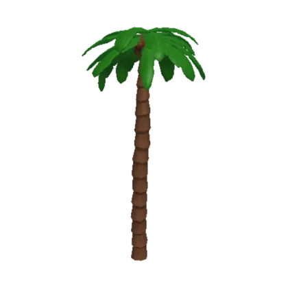 Coconut Palm Tree