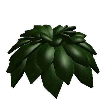 Compact Bush