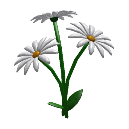 Daisies