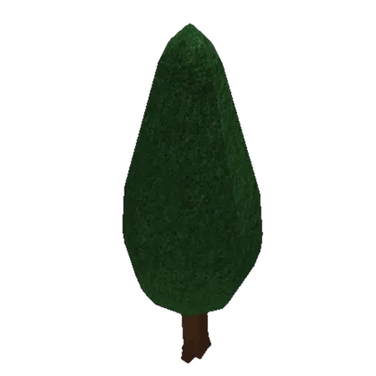 Fine Cypress