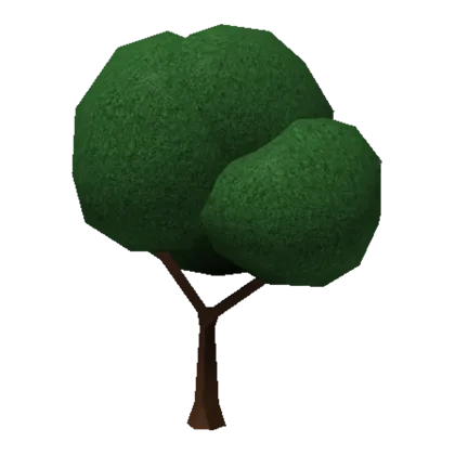 Large Organic Tree