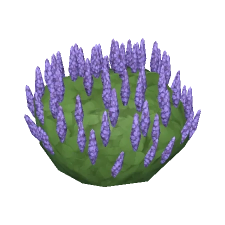Lavender Bush