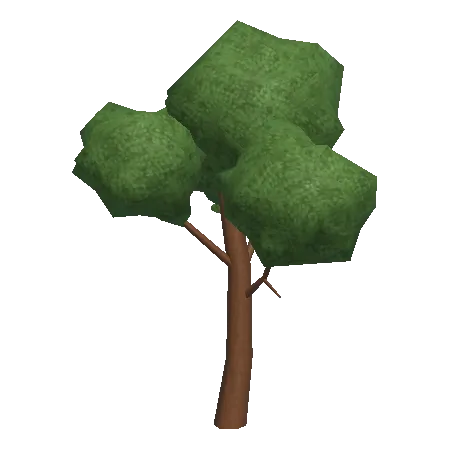 Leafy Tree