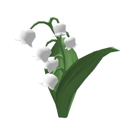 Lily of the Valley Plant