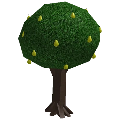 Pear Tree